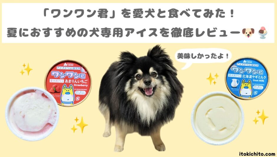 ワンワン君　アイキャッチ画像